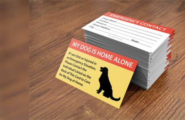 Todas las personas dueñas de una mascota deberían tener esta tarjeta en su billetera